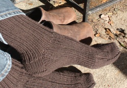 womens brown ribbed sock image