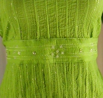 Green Beaded Waist Band image