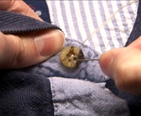 Sewing a Button
