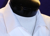 White Shirt Collar image